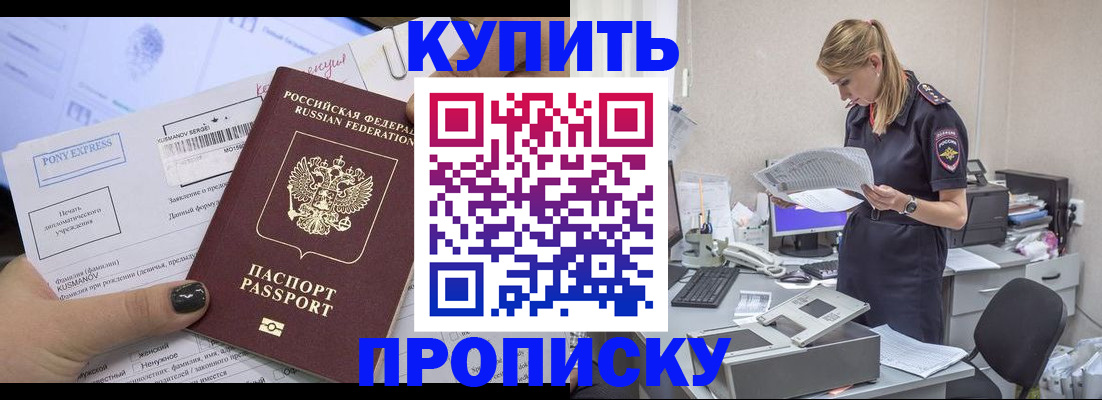 временная регистрация поиск в Камышине